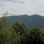 Stejeris Guest house Brasov