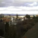 Vendégház Stejeris Brassó