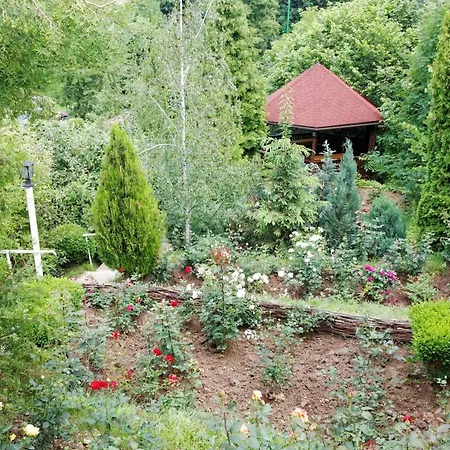 Stejeris 3* Брашов