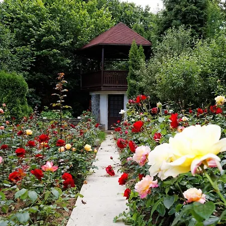 Stejeris Гостевой дом