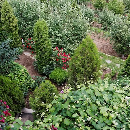 Guest house Stejeris