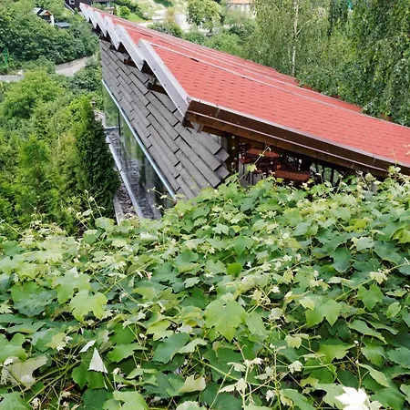 Vendégház Stejeris Brassó