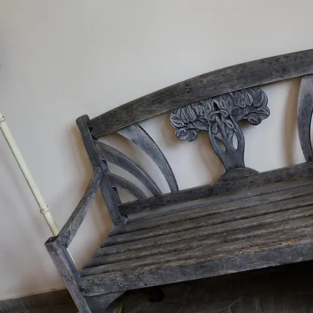 Stejeris Guest house Brasov