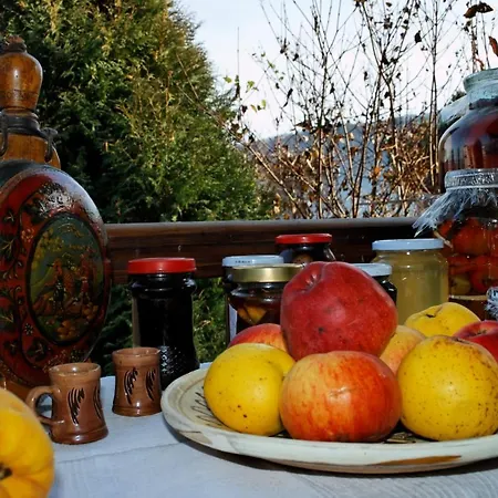 Stejeris Guest house Brasov