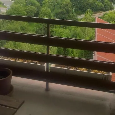 Stejeris Guest house Brasov