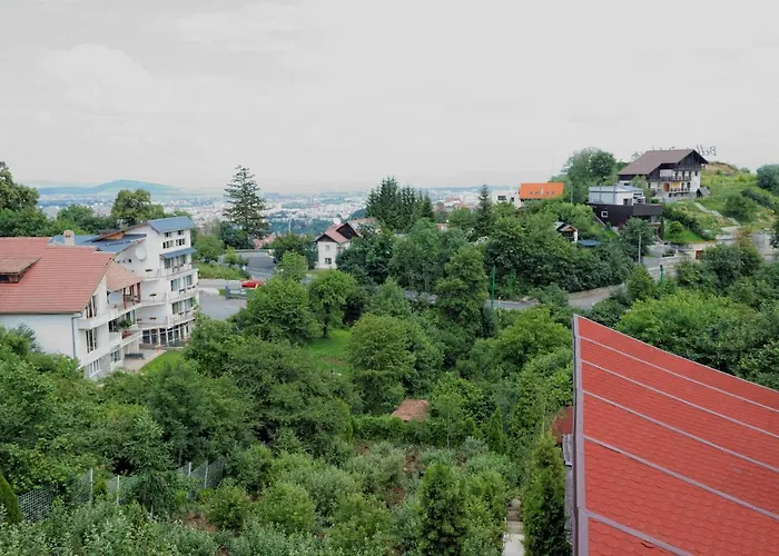 Guest house Stejeris 3*