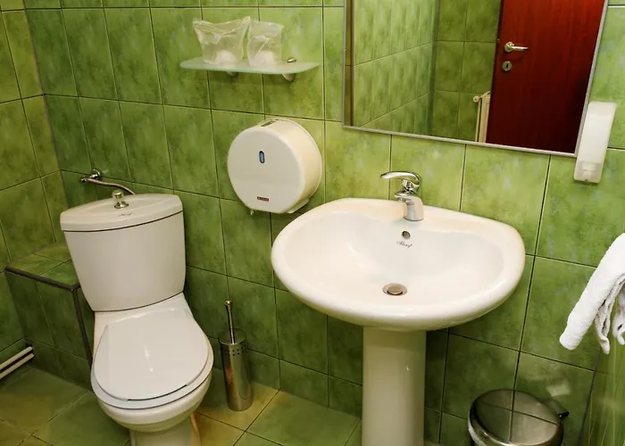 Stejeris Guest house 3*