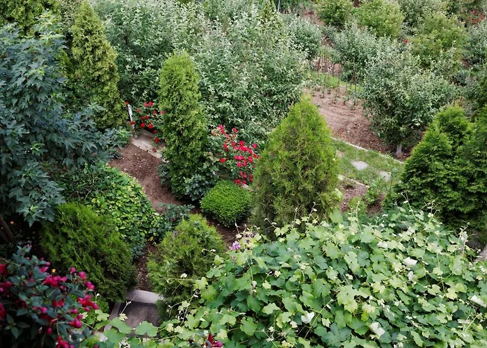 Guest house Stejeris