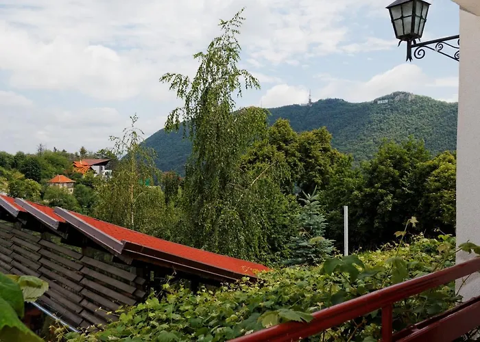 Stejeris Guest house Brasov