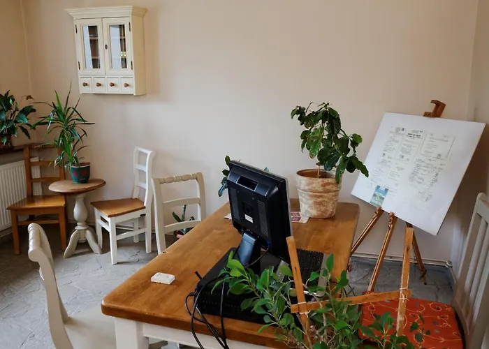 Stejeris Брашов