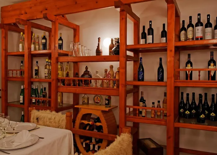 Guest house Stejeris 3*