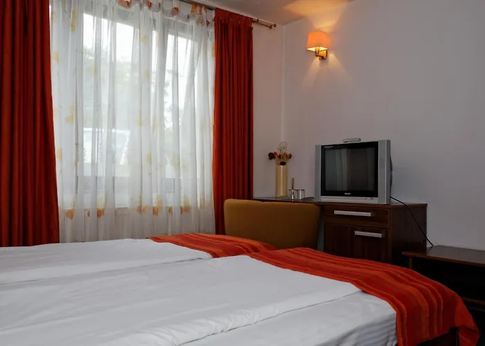 Guest house Stejeris Brasov