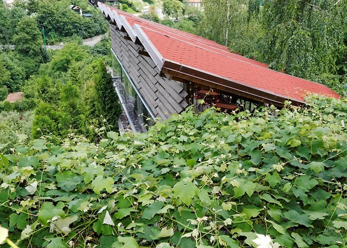 Guest house Stejeris Brasov