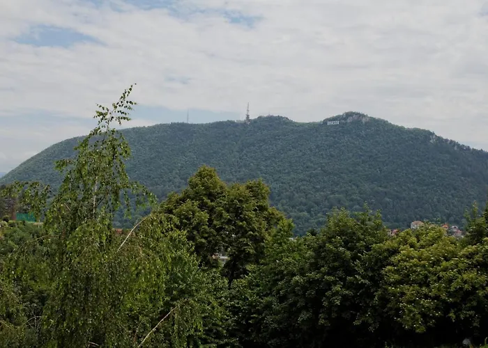 Stejeris Guest house Brasov