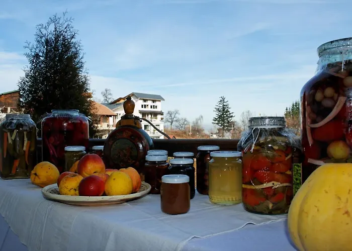 Guest house Stejeris Brasov