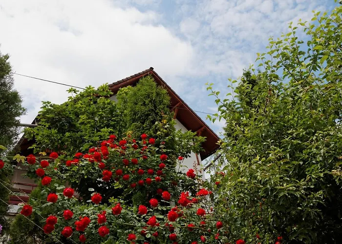 Stejeris Guest house