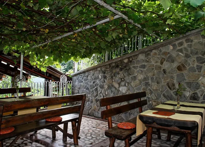 Guest house Stejeris 3*