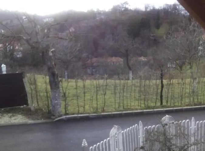 Guest house Stejeris Brasov