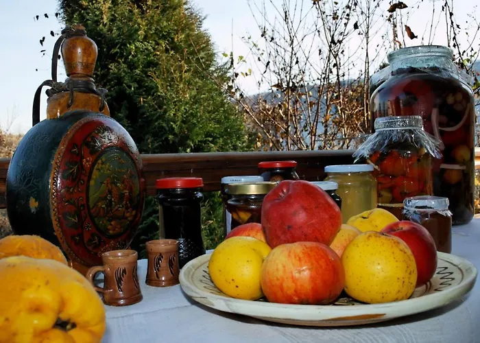 Stejeris Guest house Brasov