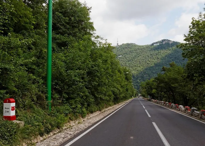 Guest house Stejeris