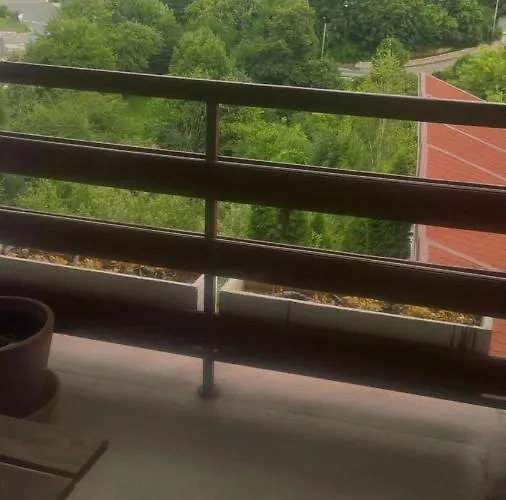 Stejeris Guest house Brasov